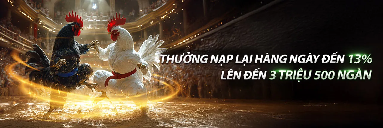 Đá Gà Trực Tuyến vivu88 nhà cái - Trải Nghiệm Cá Cược Đỉnh Cao