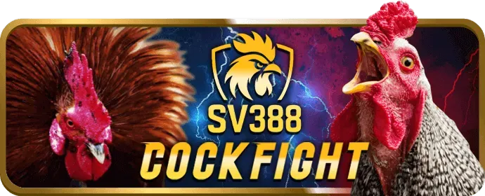 vivu88 nhà cái - Cá cược có trách nhiệm